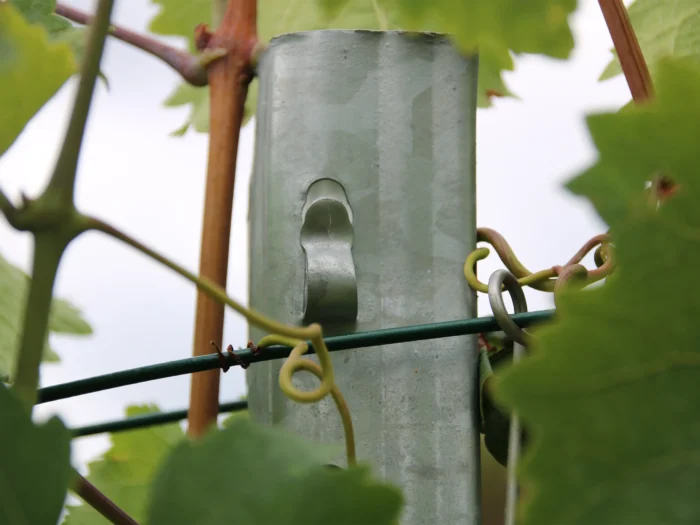 Relaunch meiser.de – Kriechel Winery