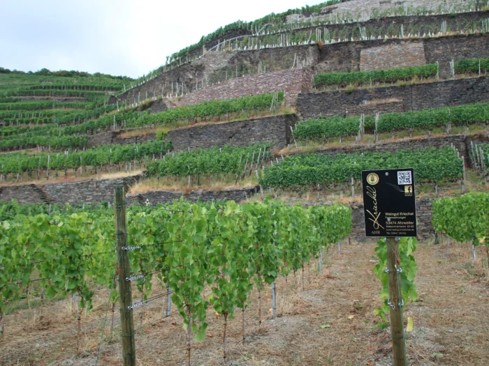 Relaunch meiser.de – Kriechel Winery